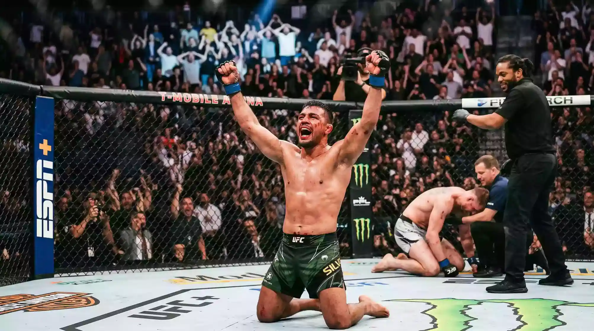 Apuestas a underdogs en UFC